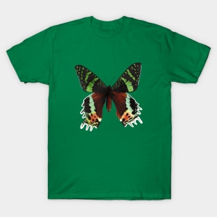 Urania ripheus butterfly T-Shirt